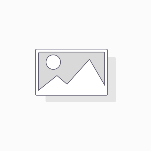 Smartrise - Company Analysis